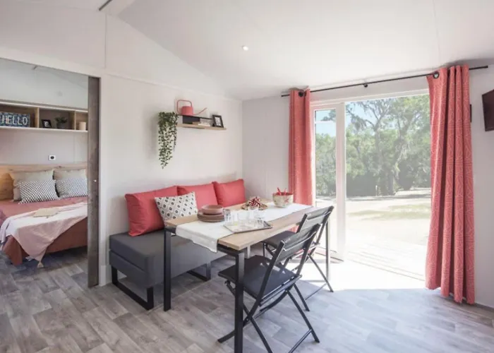 Mobil-home Pmr 4 Pers Avec Terrasse - Api-1-52-1430